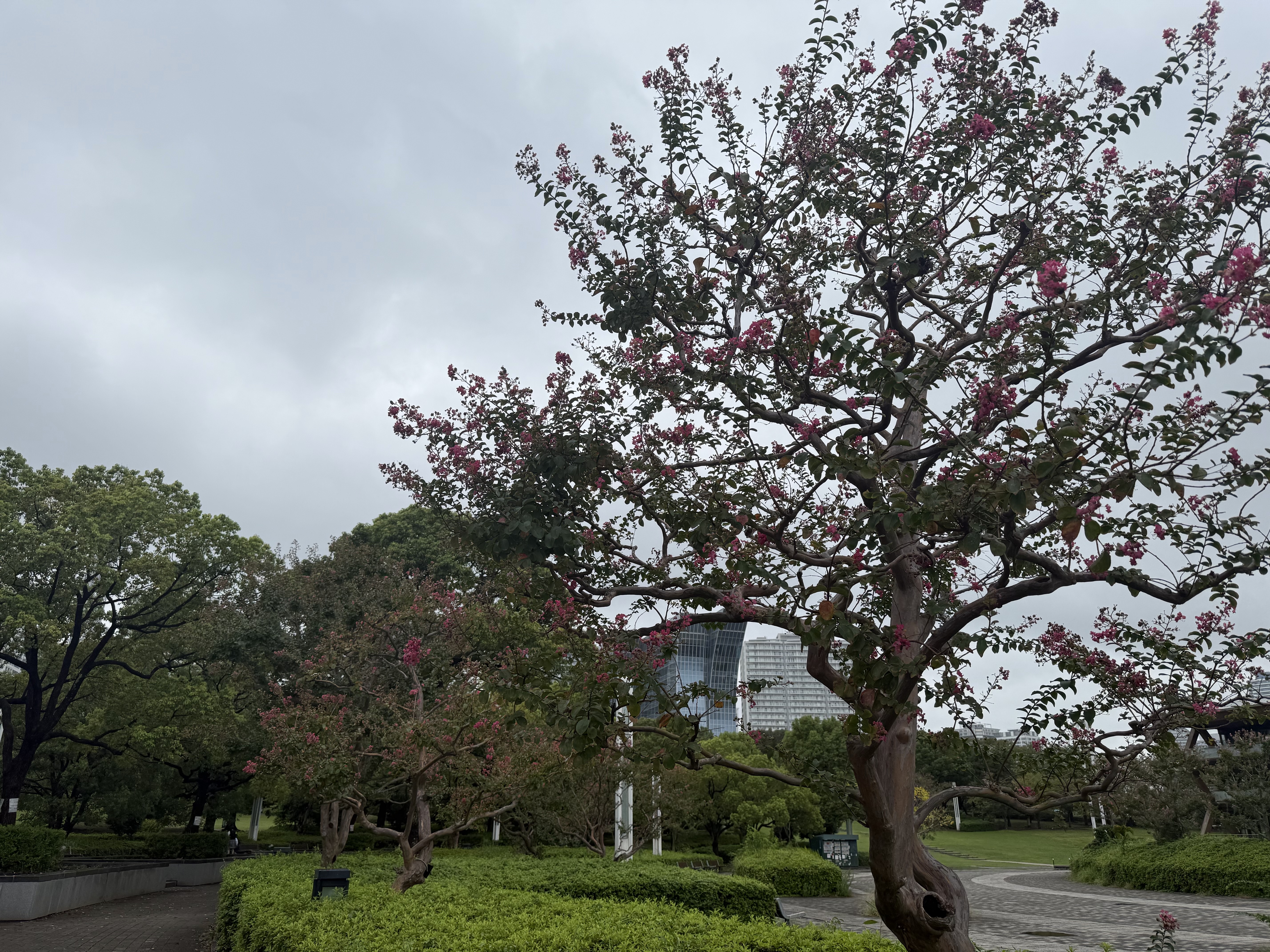 yokohama-rinko-park-04